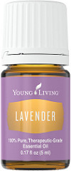 Lavender-New