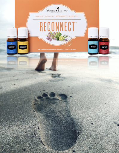 Im Angesicht von den Herausforderungen des Lebens ist eine gute Erdung oft das einzige, was und noch halt geben kann... hier erzähle ich dir, wie ätherische Öle dir genau dabei helfen können...